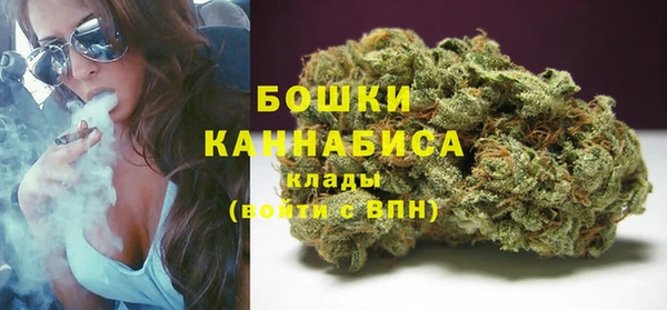 молекула духа Лихославль