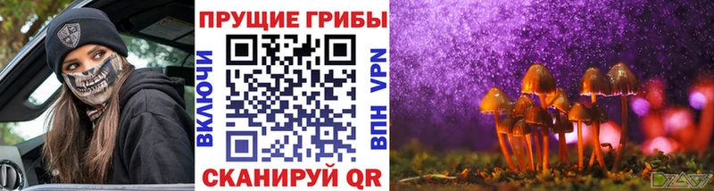 Псилоцибиновые грибы мицелий  Нерчинск 